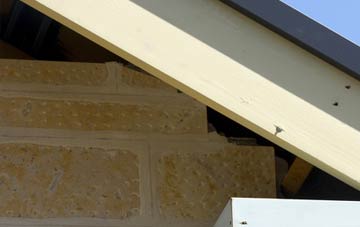 soffit repair Bucknell